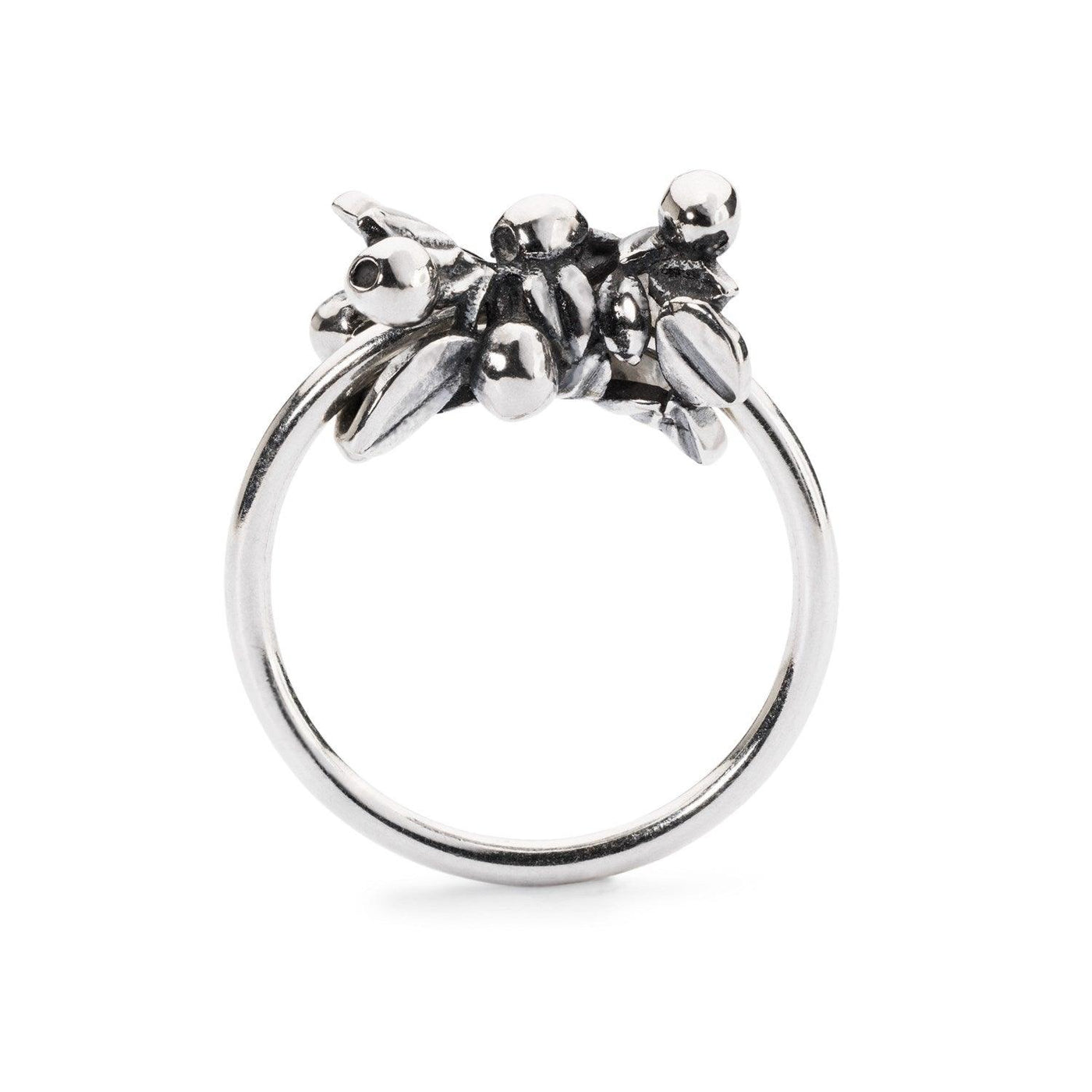 Ifjúság Áfonyája - Trollbeads Ékszerek Magyarország